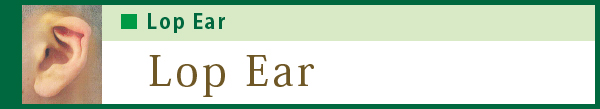 Lop Ear